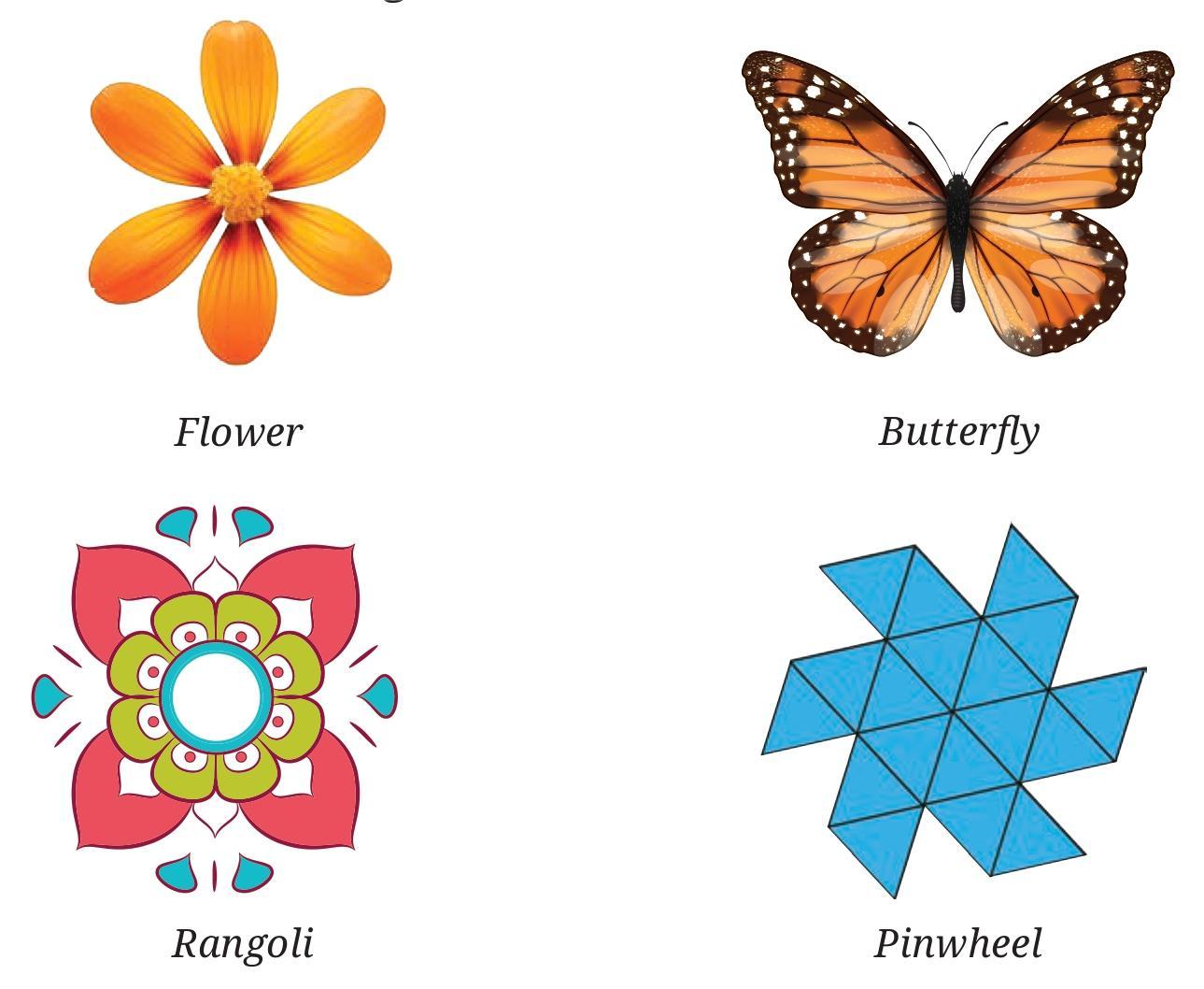 Page 217 Chapter 1 Class 6th NCERT (Ganita Prakash)